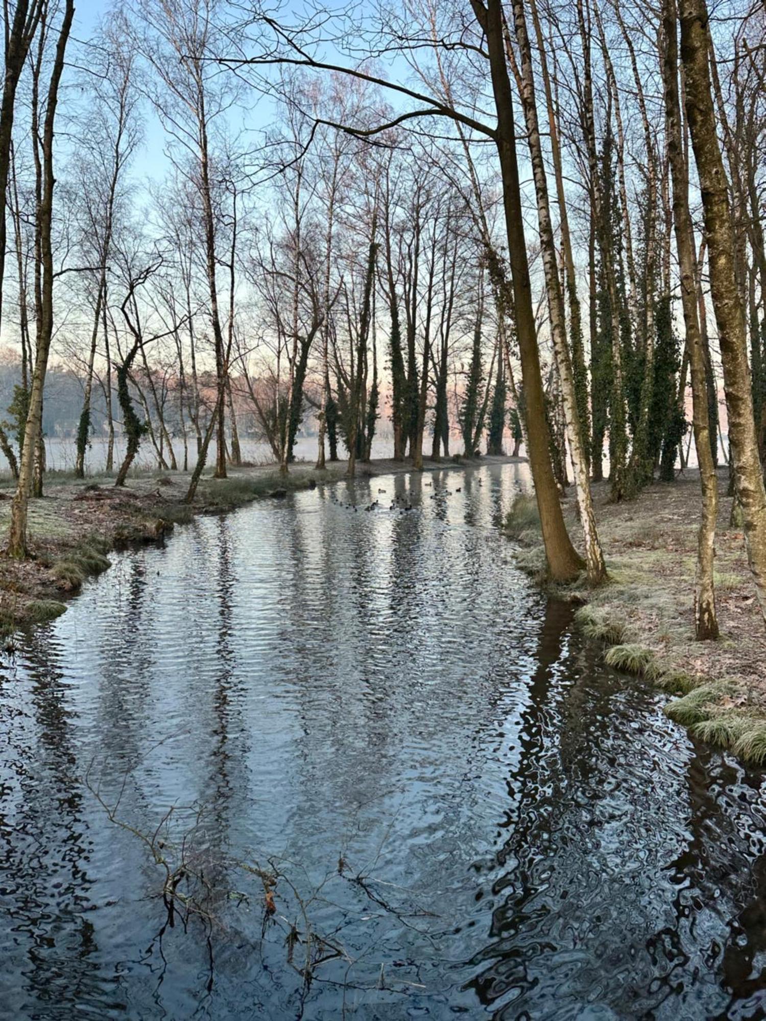 Vakantiewoning Waag Rekem エクステリア 写真