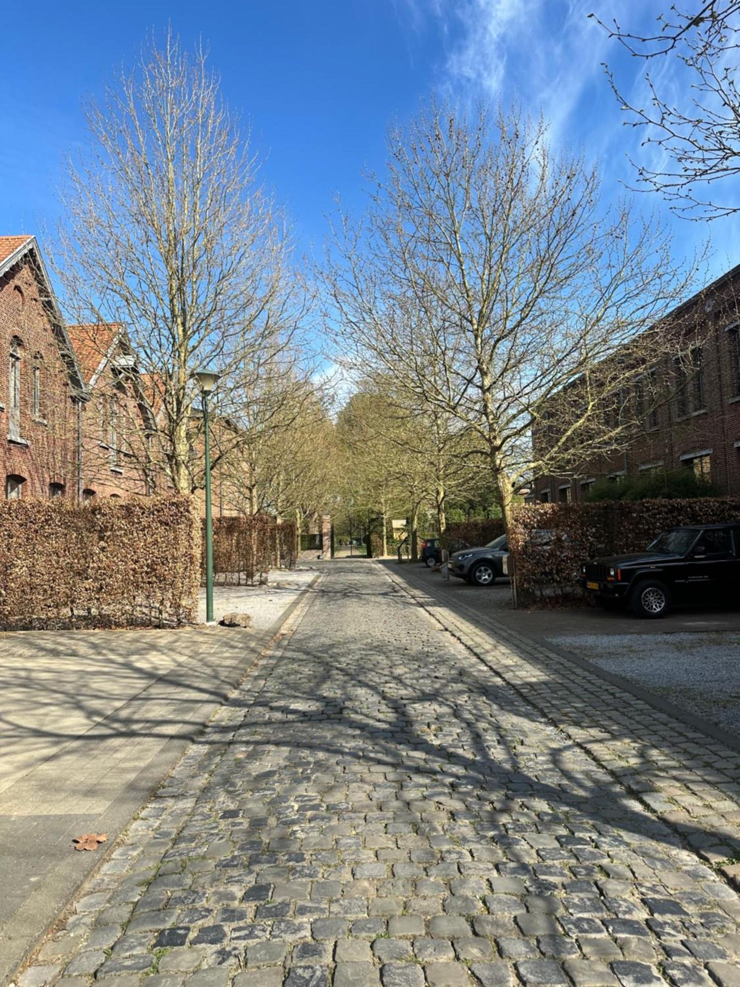 Vakantiewoning Waag Rekem エクステリア 写真
